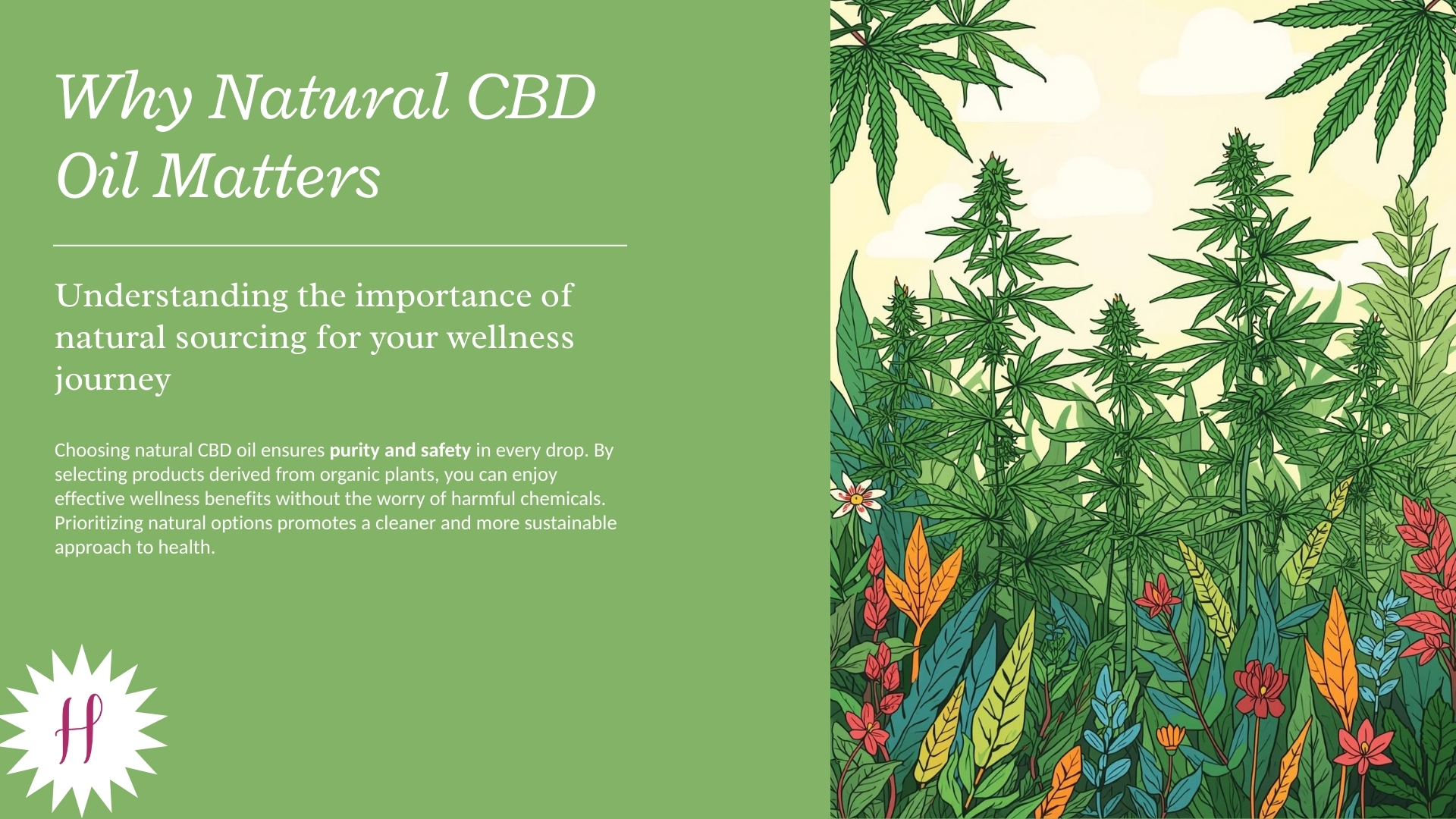 Illustration of hemp plants with text explaining that organic, natural sourcing ensures purity and safety.